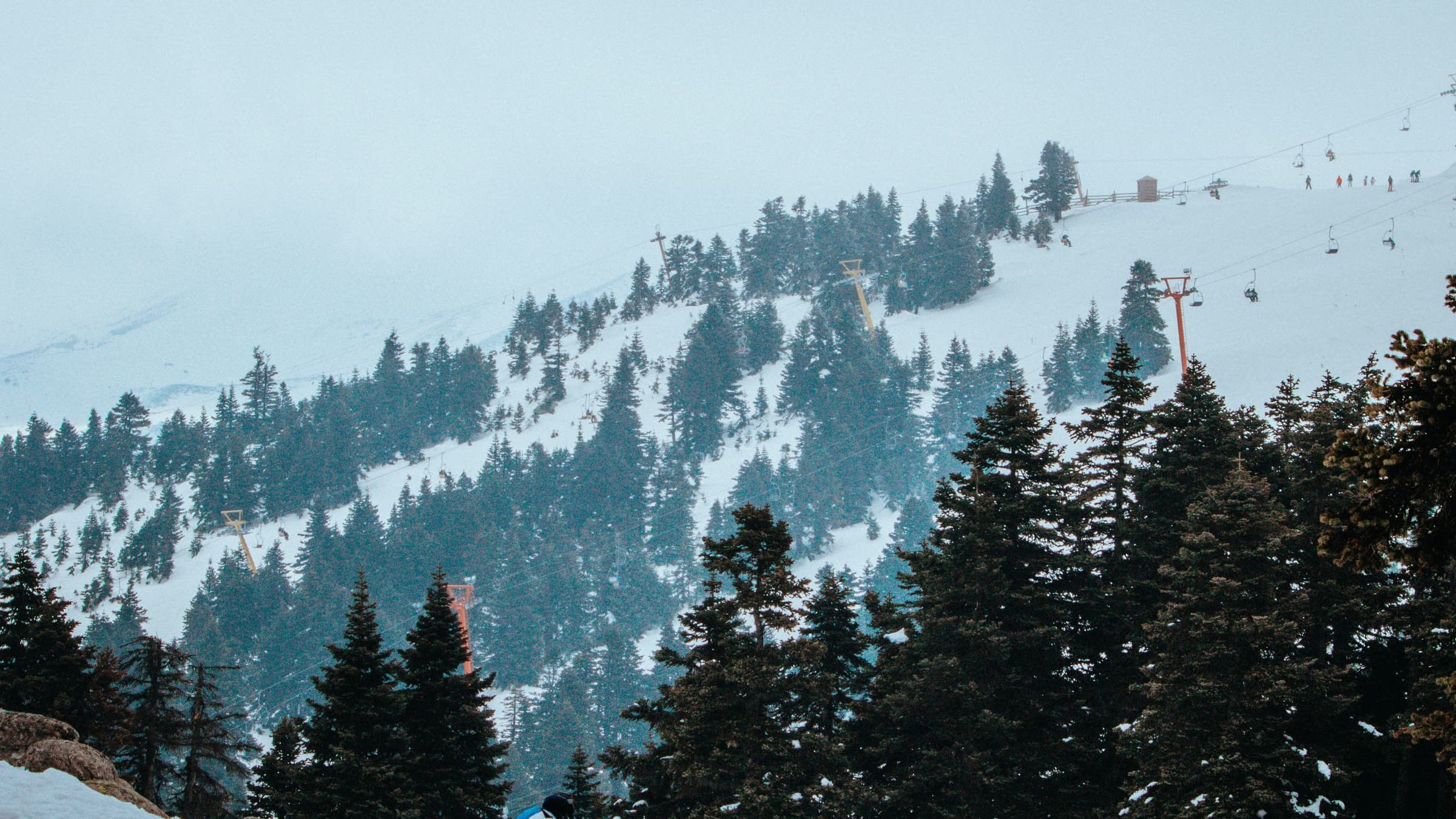 Parent and child skiing away from camera on a snowy slope